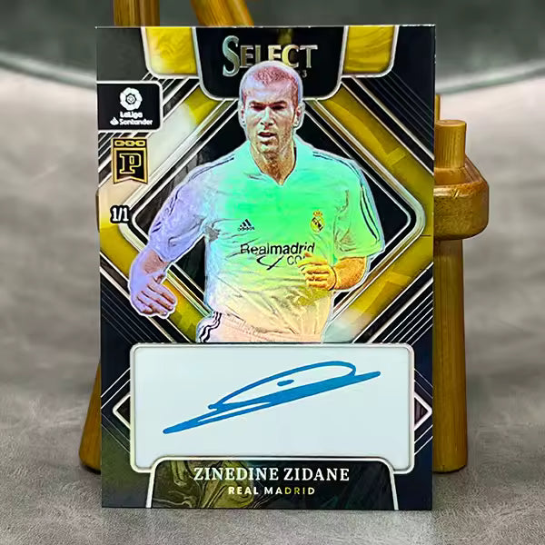 ZIDANE